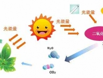 家中甲醛超標，什么才是甲醛治理的正確姿勢？