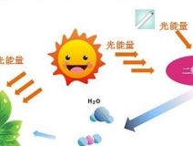 甲醛治理用什么辦法最正確？這三點常見的除甲醛辦法其實是誤區(qū)