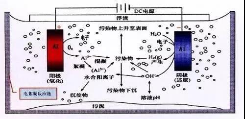 我買了一個(gè)甲醛檢測(cè)儀，吹口氣后發(fā)現(xiàn)原來我才是“地表最強(qiáng)”污染源！