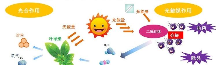 甲醛治理用什么辦法最正確？這三點(diǎn)常見(jiàn)的除甲醛辦法其實(shí)是誤區(qū)