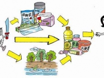 食品中有塑化劑嗎？這些食品中含有大量塑化劑，食用時一定要注意！