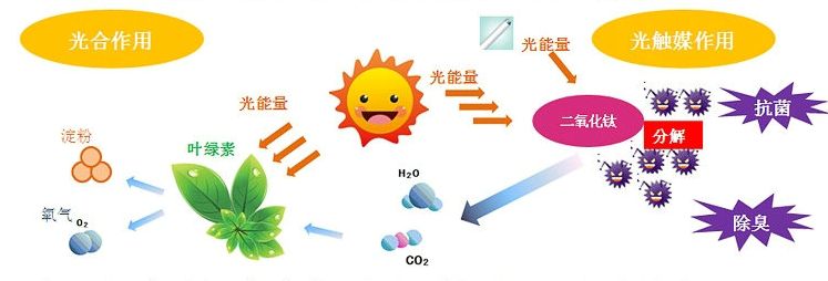 光觸媒去除房間甲醛爭議很大？